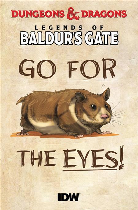 DUNGEONS & DRAGONS BALDURS GATE 100-PAGER