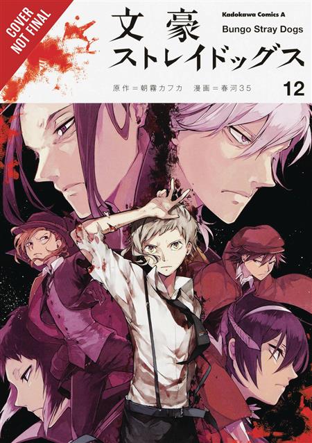 BUNGO STRAY DOGS GN VOL 12 (C: 1-1-2)