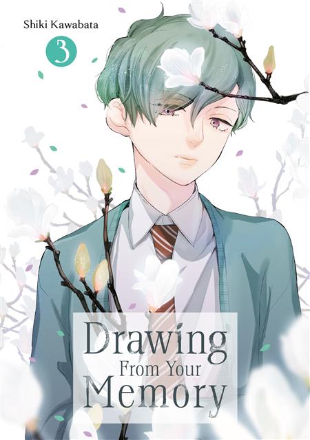 DRAWING FROM YOUR MEMORY GN VOL 3