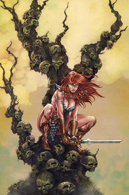 RED SONJA SHE DEVIL WITH A SWORD #5 CVR I INC1:10 MIKE ROOTH VIRGIN VAR