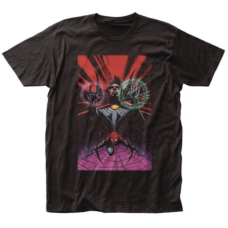 MARVEL HEROES DR STRANGE & SPIDER-MAN PX T/S LG (C: 1-1-2)