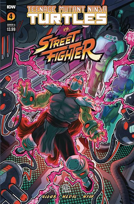 TMNT VS. STREET FIGHTER #4 (OF 5) CVR A MEDEL