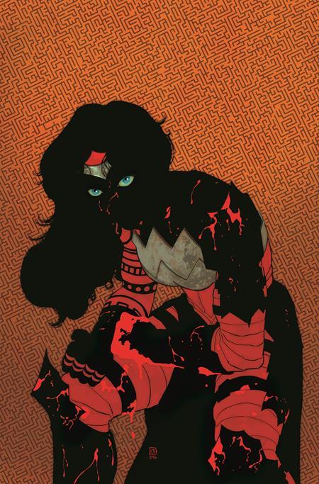 ABSOLUTE WONDER WOMAN #11 CVR A HAYDEN SHERMAN