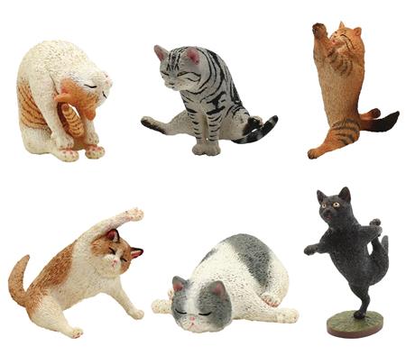 ANIMAL LIFE YOGA CAT 8PC BMB DIS (C: 1-1-2)