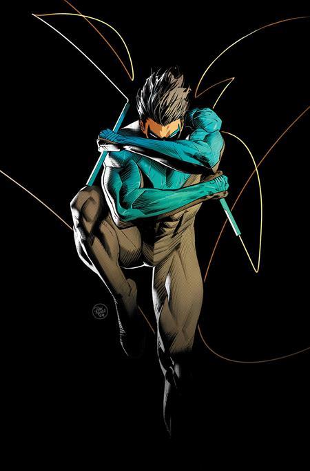 NIGHTWING #114 CVR B DAN MORA CARD STOCK VAR