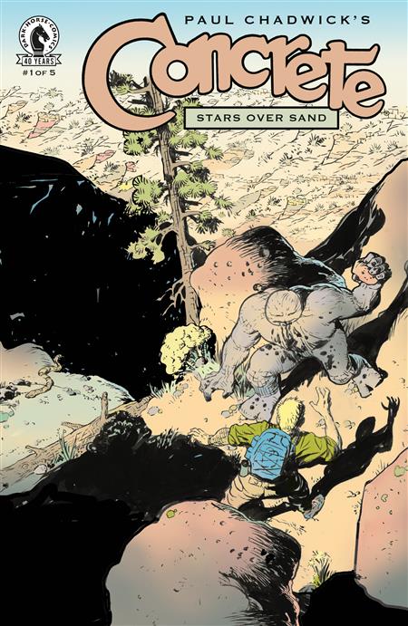 CONCRETE STARS OVER SAND #1 (CVR B) (PAUL CHADWICK)
