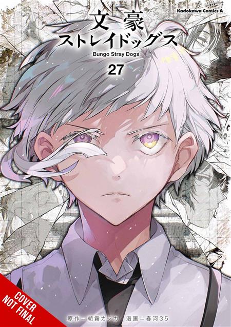 BUNGO STRAY DOGS TP VOL 27
