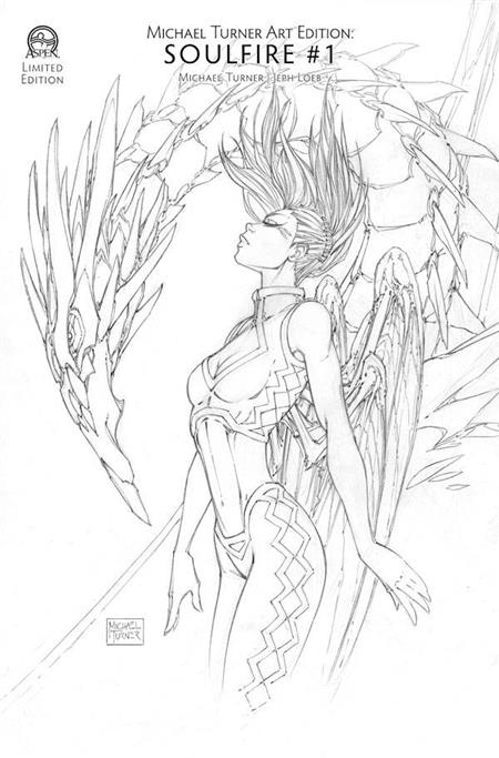 MICHAEL TURNER ART EDITION SOULFIRE #1 6 COPY INCV (Net)