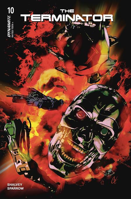 TERMINATOR #10 CVR C STAGGS