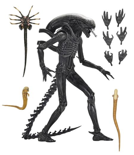 ALIEN ROMULUS ULT XENOMORPH XX121 7IN AF (Net)