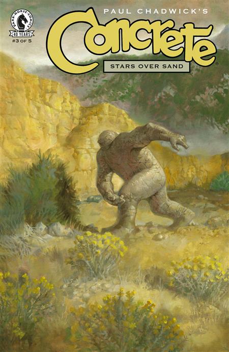 CONCRETE STARS OVER SAND #3 (CVR A) (PAUL CHADWICK)