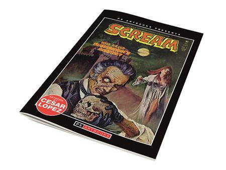 PS ARTBOOKS MAGAZINE SCREAM #6