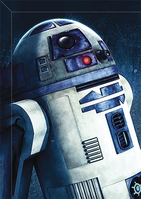 STAR WARS R2-D2 PAINTING 16IN CANVAS WALL ART (C: 1-1-2)