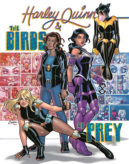 HARLEY QUINN AND THE BIRDS OF PREY #4 (OF 4) CVR A AMANDA CONNER (MR)