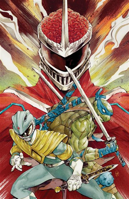 MIGHTY MORPHIN POWER RANGERS/TEENAGE MUTANT NINJA TURTLES III #4 F 1:25 INCV (FULL ART HILL)