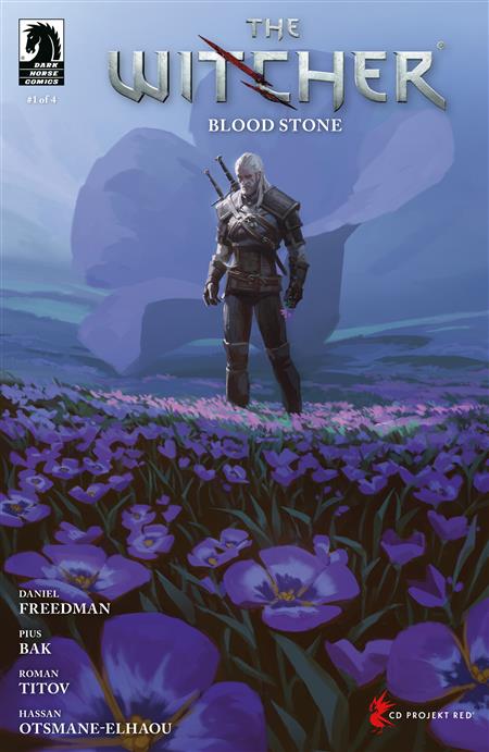 THE WITCHER BLOOD STONE #1 (CVR C) (AXEL SAUERWALD)