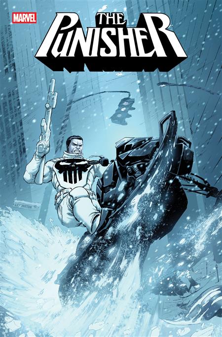 PUNISHER #12 COVER A