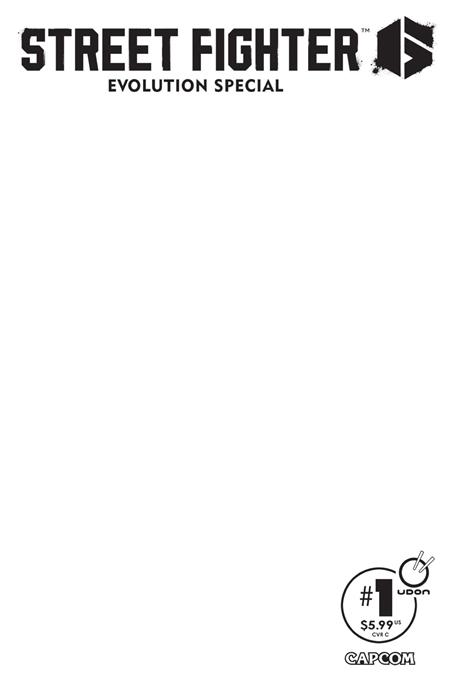 STREET FIGHTER 6 EVOLUTION SPECIAL #1 CVR C BLANK SKETCH