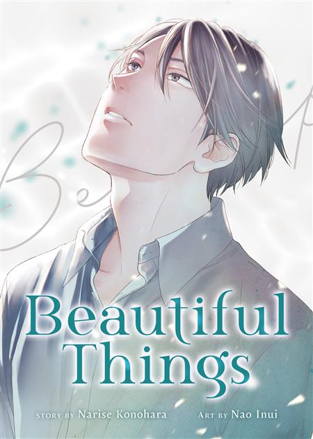 BEAUTIFUL THINGS COMPLETE MANGA COLL GN 